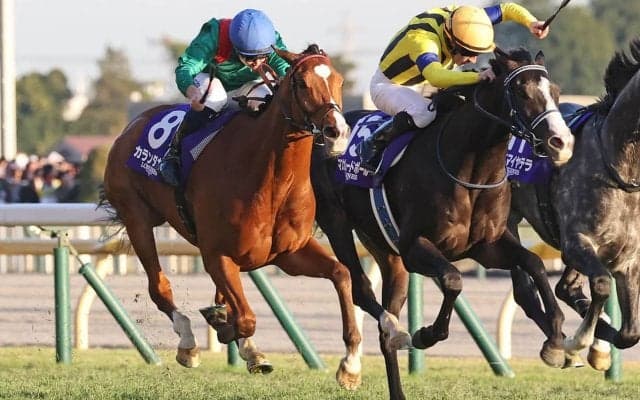 【ジャパンC】「どんなジョッキーカメラより熾烈」各馬のポジション争いにファン熱狂「バッチバチの競り合い」