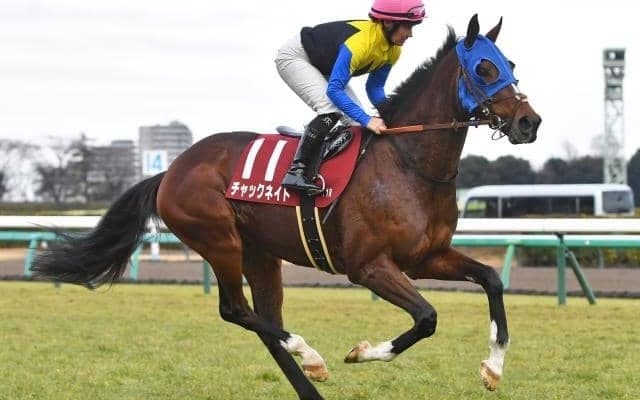 【ステイヤーズS想定騎手】チャックネイトは佐々木大輔騎手、ヴェルミセルは鮫島克駿騎手