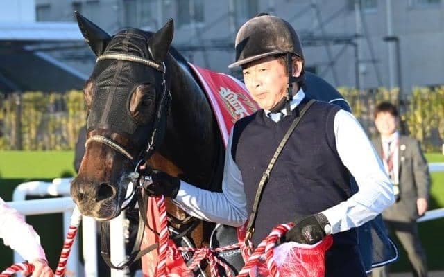 【京都2歳S】売上は38億3710万7500円で昨年より約12.5億円の大幅増