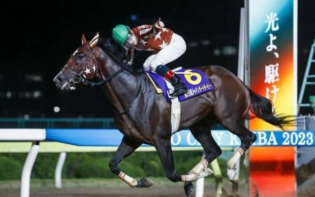 【大井・勝島王冠枠順】復活期す南関東三冠馬ミックファイアは3枠3番