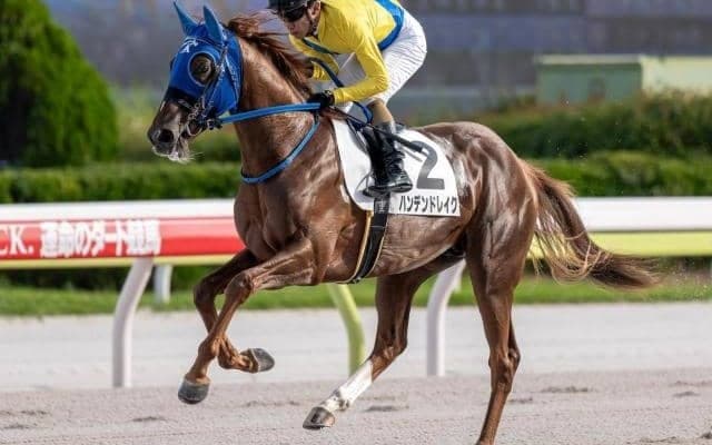 【大井・ジェムストーン賞枠順】重賞2着のハンデンドレイクは8枠15番