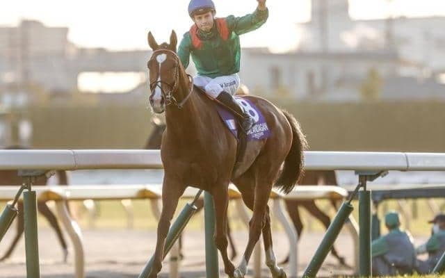 レコードでジャパンC制したカランダガン 高速馬場に対応できた理由は血統にあり