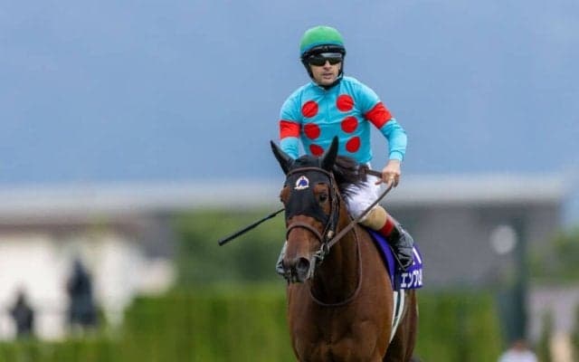 香港国際競走4レースで馬券発売…日本勢エンブロイダリーら8頭が出走予定
