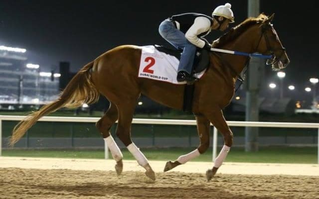 現役時代は米G1・6勝 種牡馬としても活躍中の「ガンランナー」を紹介 