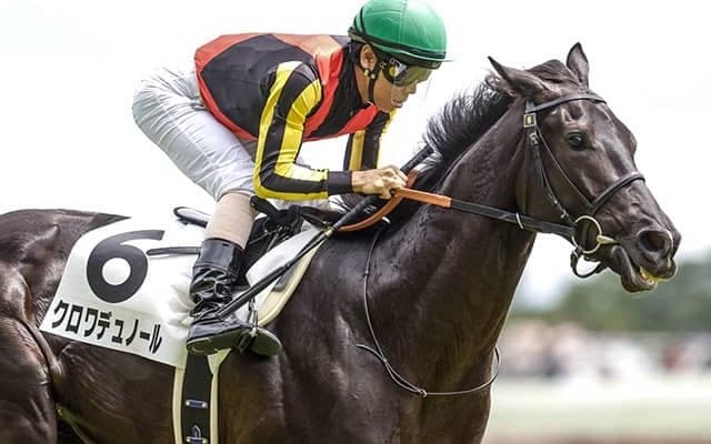 「ロイヤルファミリー」が制した6月東京・芝1800m戦は出世レース 実際の該当馬は？