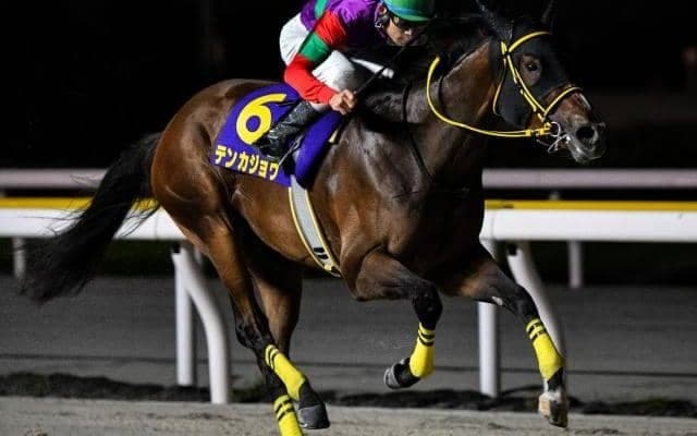 【チャンピオンズC】国分優作騎手が3年ぶりのJRA・GI参戦 テンカジョウで波乱呼ぶか