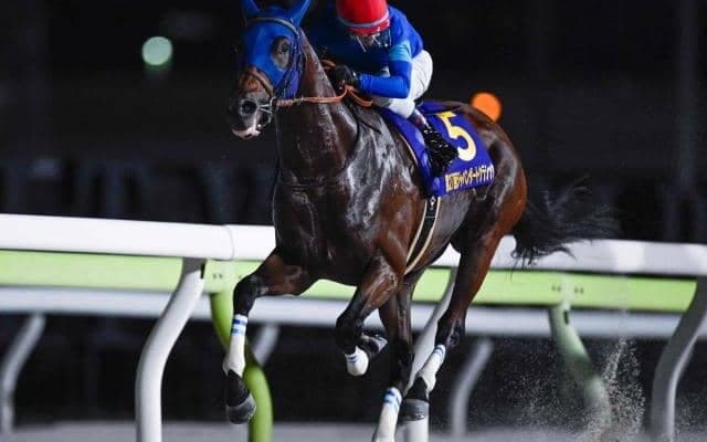 【チャンピオンズC予想オッズ】ナルカミが予想1番人気