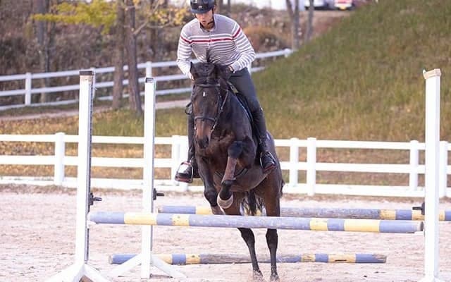 ダンビュライトやオーソクレースも！ RRCで躍動する「オールド・フレンズ・ジャパン」所属馬の秘密