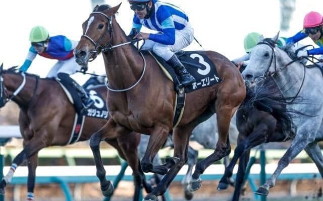 【ステイヤーズS予想オッズ】ホーエリートが予想1番人気