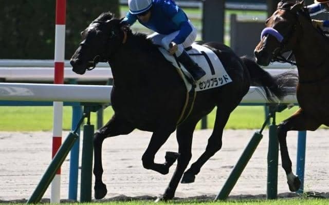 【鳴尾記念展望】唯一の3歳馬センツブラッドが重賞初制覇を狙う