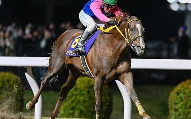 【チャンピオンズC】武豊騎手が18年ぶり5勝目なるか 古豪メイショウハリオと初タッグ