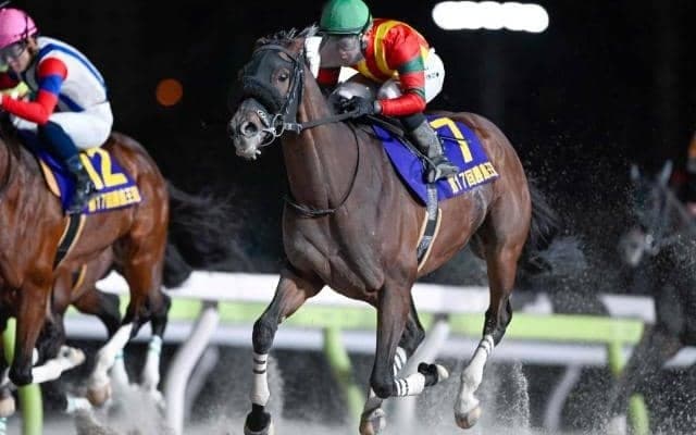 【大井・勝島王冠結果】キングストンボーイが連覇で重賞4勝目を挙げる