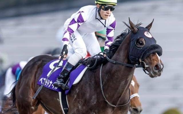 【チャンピオンズC予想】血統と戦歴が光る伏兵 AIが導いた“穴の一手”とは