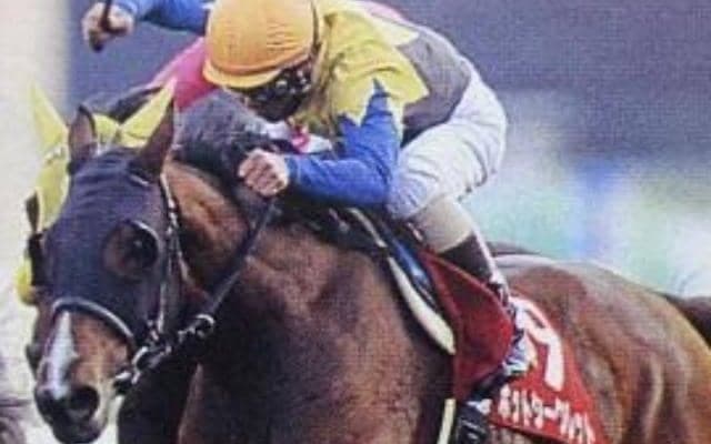 「抽せん馬」で最も賞金を獲得した馬 ホットシークレットが制したステイヤーズSを回想