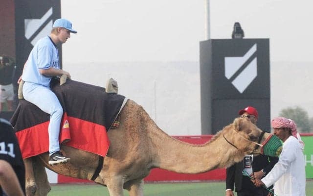 中東初のプロ野球リーグが描く奇想天外な新たな野球　ラクダで入場、マネーボール、ファイアーボール...