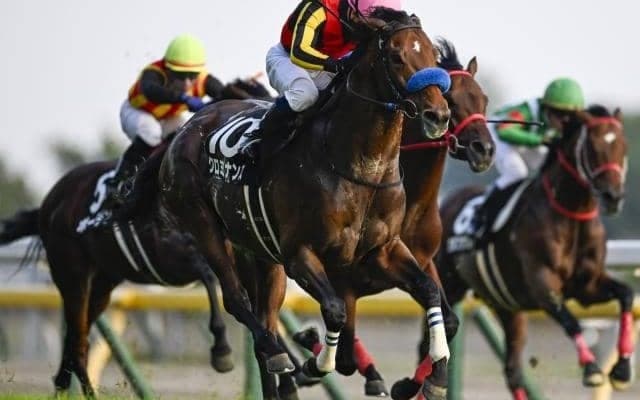 【ステイヤーズS出走馬・騎手確定】クロミナンス＆C.ルメール騎手、ホーエリート＆戸崎圭太騎手など14頭