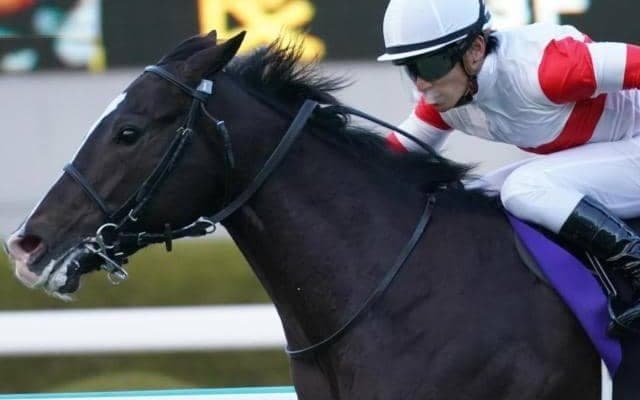 半兄は2歳王者 「ウマ娘」藤田晋オーナーのドンテスタマスターがデビュー