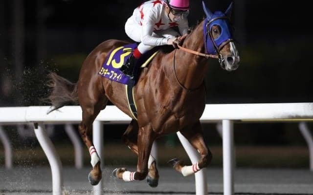 【芝とダートの総決算】有馬記念＆東京大賞典の注目馬を血統から探る！