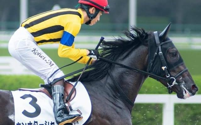 半兄はGI・4勝のジャンタルマンタル ウンナターシャが今度こそ初勝利なるか