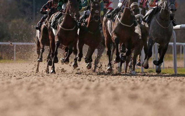 【チャンピオンズC／全頭診断】想定6人気以下の4歳馬に「2.0.1.0」　ダブルハートボンドに全幅の信頼は……