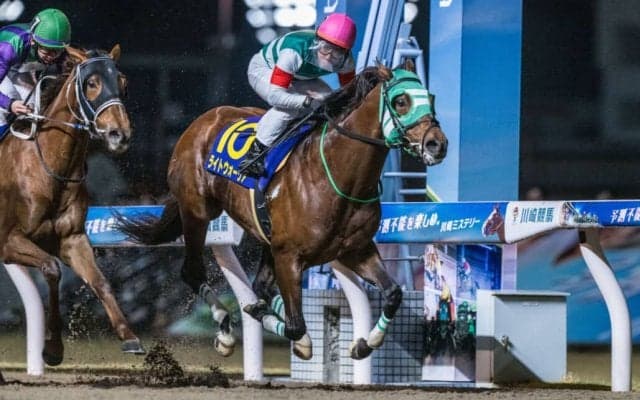 【地方競馬】ライトウォーリアが引退