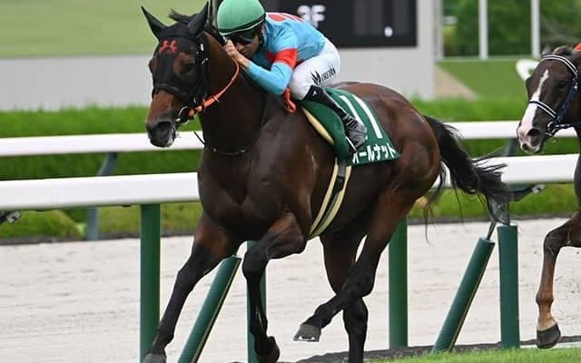 【鳴尾記念枠順確定】オールナットは8枠14番、グランヴィノスは8枠13番