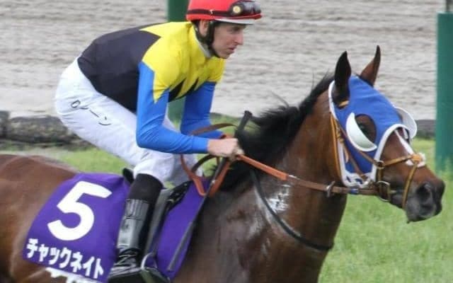 【ステイヤーズS】古豪チャックネイトが約半年ぶりの復帰戦 GII・2勝目なるか