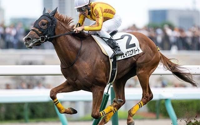 【中日新聞杯想定馬・騎手】シェイクユアハート、ファミリータイムなど16頭