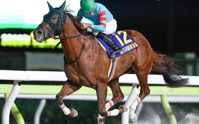 【カペラS想定馬・騎手】ヤマニンチェルキ、ガビーズシスターなど19頭