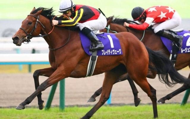 ブレイディヴェーグの登録抹消…ノーザンファーム繁殖入り