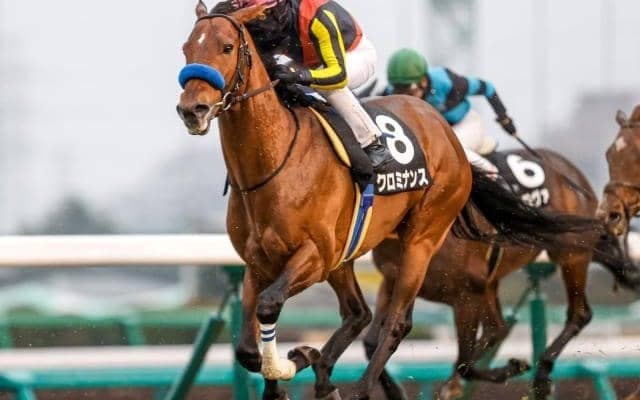 【今日の注目ポイント】中山でステイヤーズSと阪神で鳴尾記念