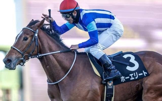 【ステイヤーズS予想】中山の名物重賞 芝3600mのスタミナ勝負を制すのは