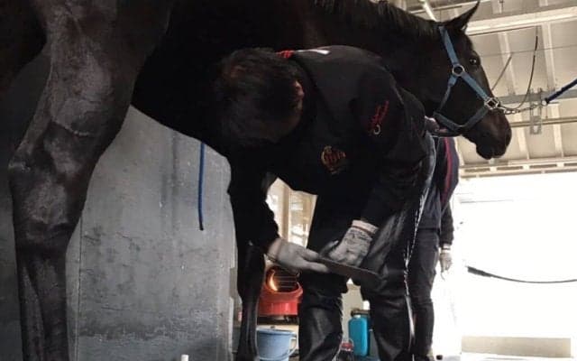 【装蹄師・西内荘コラム】担当馬2頭のチャンピオンズC…ダブルで来てほしい大久保厩舎の2頭