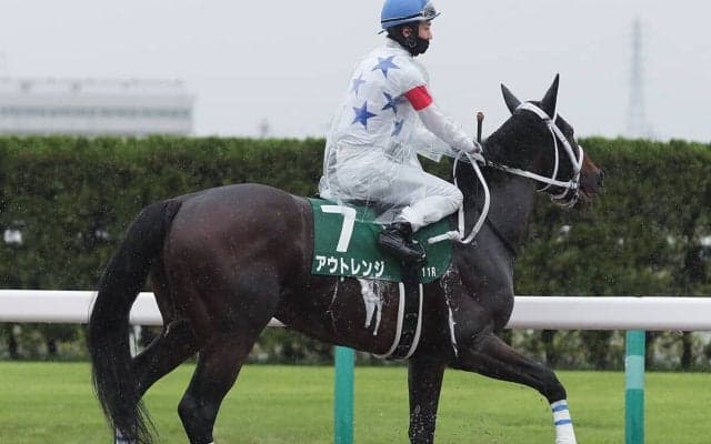 【競馬予想】「荒れる」チャンピオンズカップ　舞台合う実力馬２頭でビッグボーナスをゲットせよ