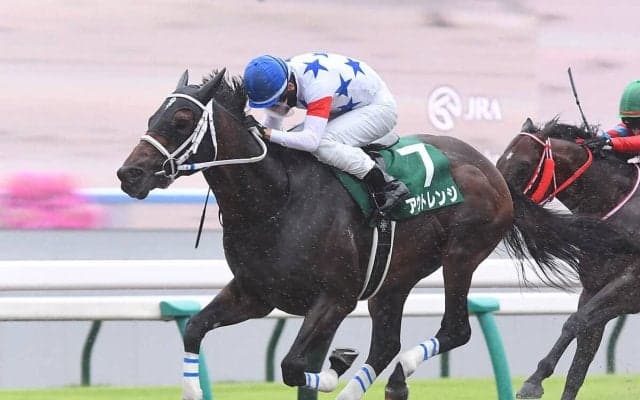 【競馬予想】混戦模様のチャンピオンズＣで注目すべき、キングマンボとキズナの血　クロスも含めて徹底チェック