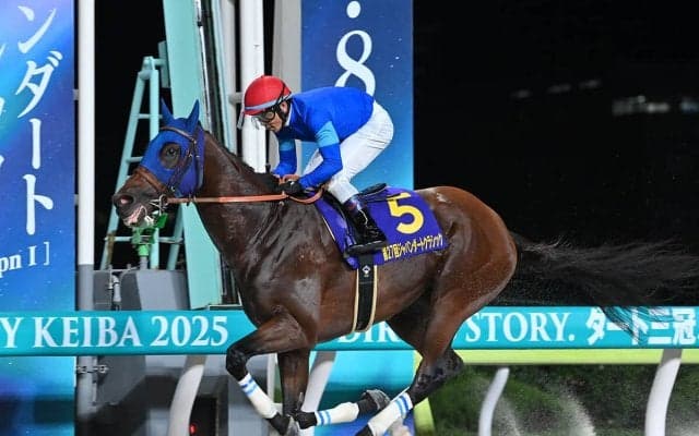 【競馬予想】ＧＩチャンピオンズカップで人気の３歳馬　ナルカミとルクソールカフェはどっちが強いのか