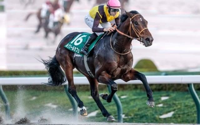 【チャンピオンズC予想】前走で積極的な競馬を経験しているのはマイナス!? 重賞馬でも軽視したい一頭とは