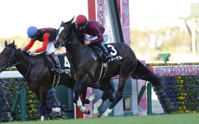 【さざんか賞】アルアイン産駒フォーゲルが2連勝