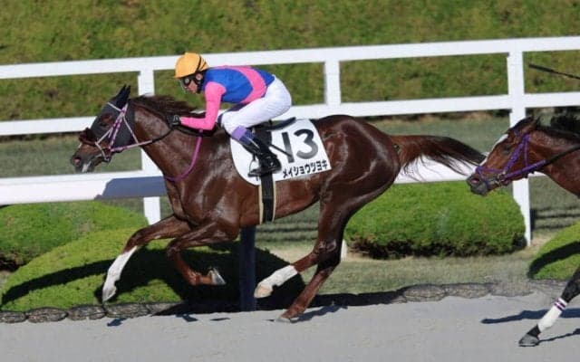 【阪神8R】武豊メイショウツヨキが波乱を演出…10番人気の伏兵