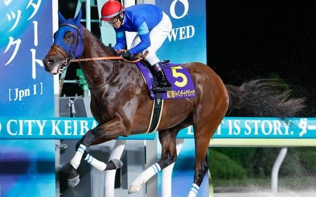 【今日の注目ポイント】チャンピオンズCでナルカミがダート界の頂点を狙う