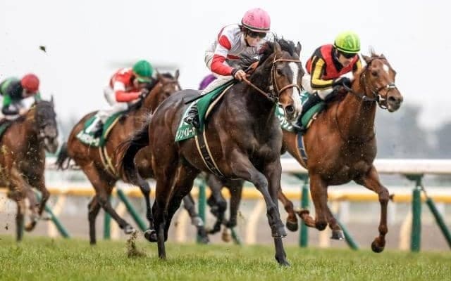 22年の共同通信杯を制したダノンベルーガが登録抹消 東京競馬場で乗馬に