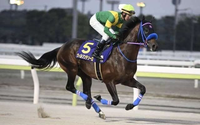 【チャンピオンズC予想】下半期のJRAダート王者決定戦 外枠の逃げ・先行馬にはタフなコース形態