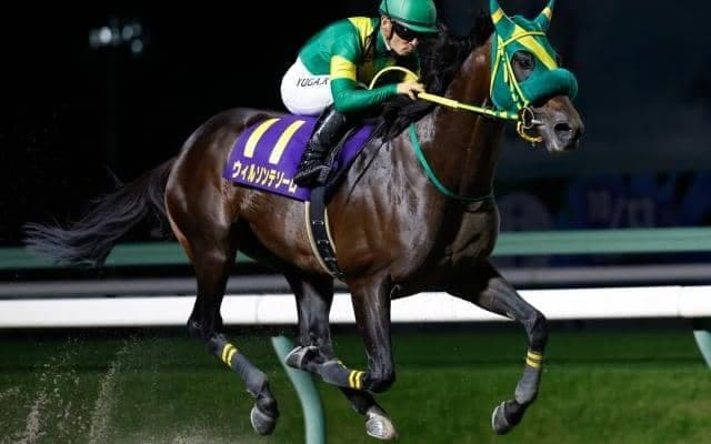 【チャンピオンズC予想】パターンから狙えるタイプとは？ 過去データから探るGIチャンピオンズC