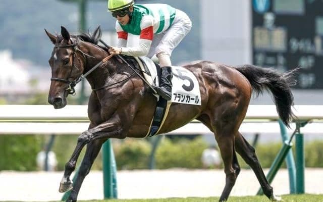 2歳女王決定戦・阪神JFなど3重賞/今週の競馬界の見どころ