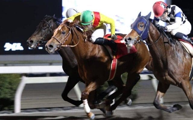 【高知・長浜特別】大混戦の直線叩き合いを制す！ サノノエスポが準重賞勝利