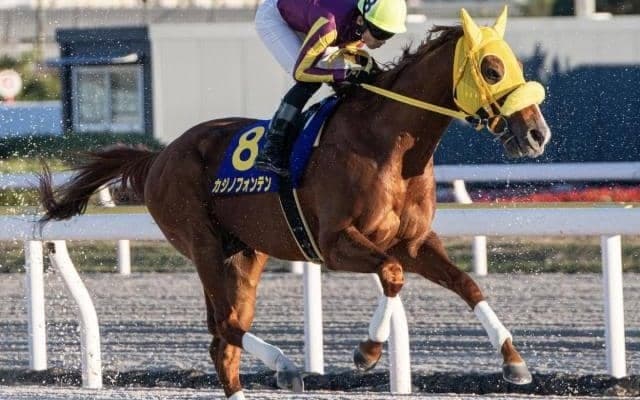 【船橋記念枠順】ラストランのカジノフォンテンは6枠10番
