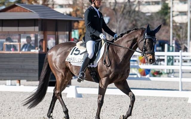 24年七夕賞馬がオリンピアンとのタッグでRRC初参戦 落ち着いた演技みせる