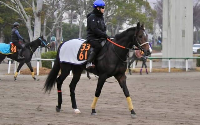 母は米ダート重賞3勝 セレクト2億超のセツナサが初陣/関東馬メイクデビュー情報