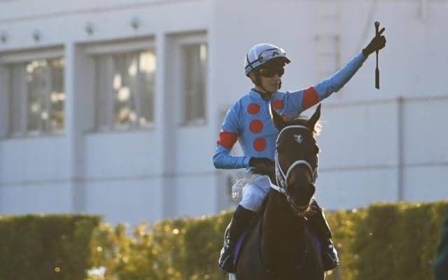 ダブルハートボンドが高速ダートで威力を発揮する理由 血統面からプロが分析