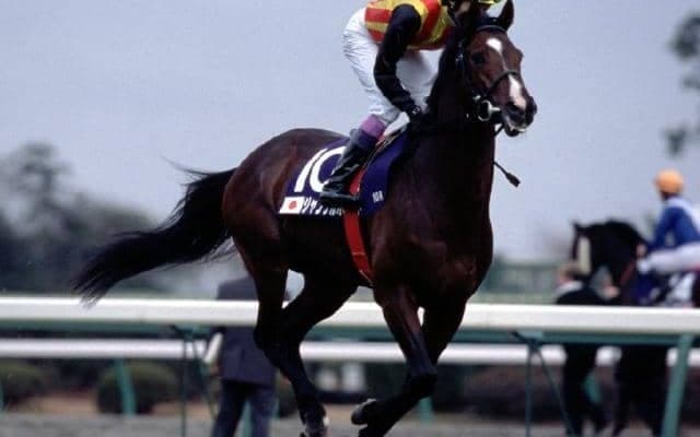 東京芝2400mの二大レースを制覇し種牡馬でも成功 新時代の扉開いた「ジャングルポケット」